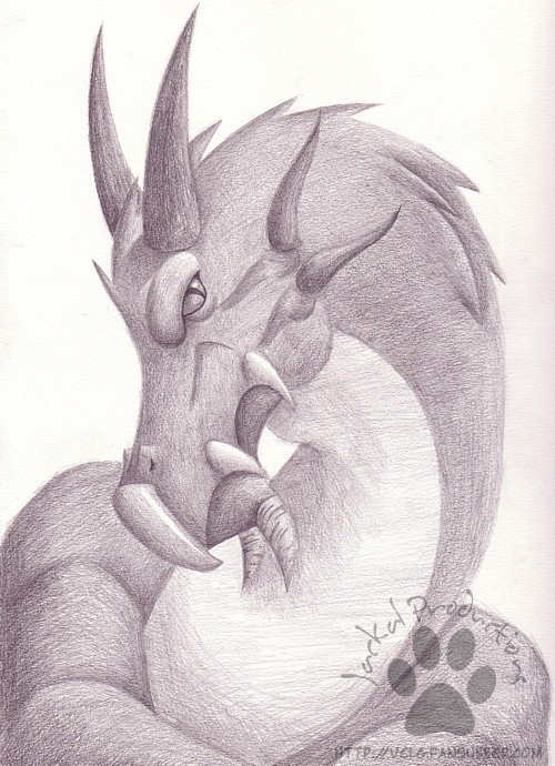 DragonProject2