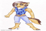 Furycolor