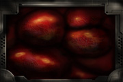 Gutsbackground