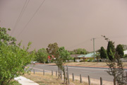 IMG 0630