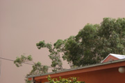 IMG 0633