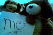 Picture 005[1]