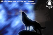 Stray2