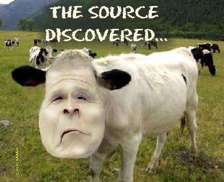 CHUCKMAN BUSH MAD COW