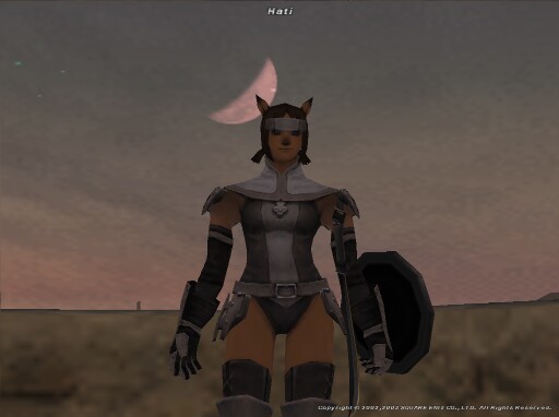 Hat031014231707a