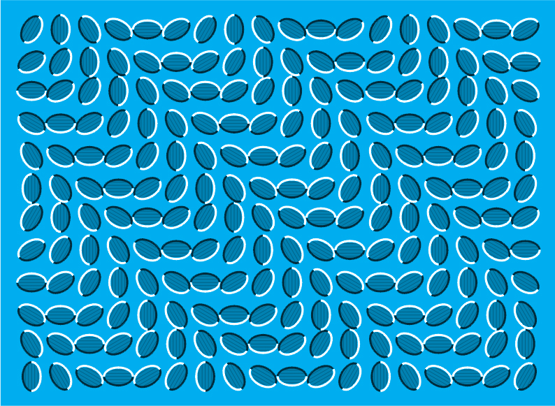 Wavetotoo